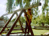 Filename=20060499_005.jpg
Filesize=209KiB
Dimensions=1024x768
Date added=Jan 02, 2025 20060499_005.jpg