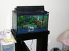 Filename=20060516_001.jpg
Filesize=125KiB
Dimensions=1024x768
Date added=Oct 26, 2008 20060516_001.jpg