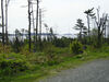 Filename=20060529_007.jpg
Filesize=239KiB
Dimensions=1024x768
Date added=Oct 26, 2008 20060529_007.jpg