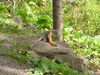 Filename=20060529_008.jpg
Filesize=284KiB
Dimensions=1024x768
Date added=Oct 26, 2008 20060529_008.jpg