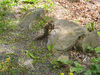 Filename=20060529_009.jpg
Filesize=336KiB
Dimensions=1024x768
Date added=Oct 26, 2008 20060529_009.jpg