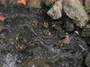 Filename=20060624_014.jpg
Filesize=287KiB
Dimensions=1024x768
Date added=Oct 26, 2008 20060624_014.jpg