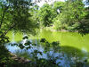 Filename=20060730_012.jpg
Filesize=374KiB
Dimensions=1024x768
Date added=Oct 26, 2008 20060730_012.jpg