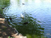 Filename=20060730_018.jpg
Filesize=240KiB
Dimensions=1024x768
Date added=Oct 26, 2008 20060730_018.jpg