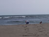 Filename=20060915_019.jpg
Filesize=100KiB
Dimensions=1024x768
Date added=Oct 26, 2008 20060915_019.jpg