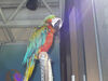 Filename=20060916_020.jpg
Filesize=133KiB
Dimensions=1024x768
Date added=Oct 26, 2008 20060916_020.jpg