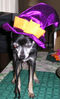 Filename=20061018_001.jpg
Filesize=102KiB
Dimensions=467x768
Date added=Oct 26, 2008 20061018_001.jpg