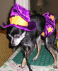 Filename=20061018_003.jpg
Filesize=166KiB
Dimensions=631x768
Date added=Oct 26, 2008 20061018_003.jpg