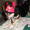 Filename=20061018_004.jpg
Filesize=134KiB
Dimensions=754x768
Date added=Oct 26, 2008 20061018_004.jpg