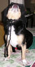 Filename=20061018_006.jpg
Filesize=83KiB
Dimensions=403x768
Date added=Oct 26, 2008 20061018_006.jpg