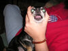 Filename=20061022_009.jpg
Filesize=122KiB
Dimensions=1024x768
Date added=Oct 26, 2008 20061022_009.jpg