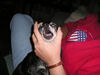 Filename=20061022_010.jpg
Filesize=139KiB
Dimensions=1024x768
Date added=Oct 26, 2008 20061022_010.jpg