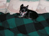 Filename=20061022_011.jpg
Filesize=156KiB
Dimensions=1024x768
Date added=Oct 26, 2008 20061022_011.jpg