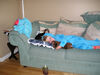 Filename=20061026_003.jpg
Filesize=155KiB
Dimensions=1024x768
Date added=Oct 26, 2008 20061026_003.jpg