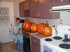 Filename=20061030_002.jpg
Filesize=160KiB
Dimensions=1024x768
Date added=Oct 26, 2008 20061030_002.jpg