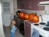Filename=20061030_004.jpg
Filesize=153KiB
Dimensions=1024x768
Date added=Oct 26, 2008 20061030_004.jpg