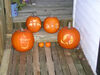 Filename=20061031_009.jpg
Filesize=159KiB
Dimensions=1024x768
Date added=Oct 26, 2008 20061031_009.jpg
