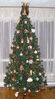 Filename=20061201_001.jpg
Filesize=214KiB
Dimensions=568x1022
Date added=Oct 26, 2008 20061201_001.jpg
