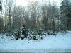 Filename=20061205_001.jpg
Filesize=333KiB
Dimensions=1024x768
Date added=Oct 26, 2008 20061205_001.jpg