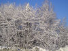 Filename=20061205_005.jpg
Filesize=382KiB
Dimensions=1024x768
Date added=Oct 26, 2008 20061205_005.jpg