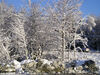 Filename=20061205_006.jpg
Filesize=401KiB
Dimensions=1024x768
Date added=Oct 26, 2008 20061205_006.jpg