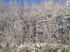 Filename=20061205_007.jpg
Filesize=401KiB
Dimensions=1024x768
Date added=Oct 26, 2008 20061205_007.jpg