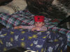 Filename=20061214_002.jpg
Filesize=211KiB
Dimensions=1024x768
Date added=Oct 26, 2008 20061214_002.jpg