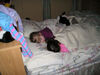 Filename=20070311_001.jpg
Filesize=150KiB
Dimensions=1024x768
Date added=Oct 29, 2008 20070311_001.jpg