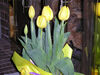 Filename=20070412_003.jpg
Filesize=180KiB
Dimensions=1024x768
Date added=Oct 29, 2008 20070412_003.jpg