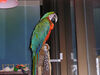 Filename=20070414_001.jpg
Filesize=175KiB
Dimensions=1024x768
Date added=Oct 29, 2008 20070414_001.jpg