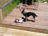 Filename=20070527_001.jpg
Filesize=216KiB
Dimensions=1024x768
Date added=Oct 29, 2008 20070527_001.jpg