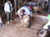 Filename=20070602_002.jpg
Filesize=205KiB
Dimensions=1024x768
Date added=Oct 29, 2008 20070602_002.jpg