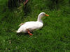Filename=20070602_003.jpg
Filesize=312KiB
Dimensions=1024x768
Date added=Oct 29, 2008 20070602_003.jpg