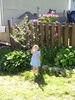 Filename=20070617_004.jpg
Filesize=289KiB
Dimensions=768x1024
Date added=Oct 29, 2008 20070617_004.jpg