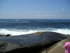 Filename=20070707_071.jpg
Filesize=137KiB
Dimensions=1024x768
Date added=Oct 29, 2008 20070707_071.jpg