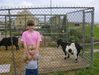 Filename=20070707_079.jpg
Filesize=286KiB
Dimensions=1024x778
Date added=Oct 29, 2008 20070707_079.jpg