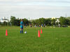 Filename=20070723_003.jpg
Filesize=190KiB
Dimensions=1024x768
Date added=Oct 29, 2008 20070723_003.jpg