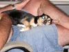 Filename=20070726_001.jpg
Filesize=141KiB
Dimensions=1024x768
Date added=Oct 29, 2008 20070726_001.jpg