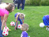 Filename=20070823_004.jpg
Filesize=234KiB
Dimensions=1024x768
Date added=Oct 29, 2008 20070823_004.jpg