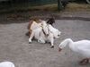 Filename=20070922_002.jpg
Filesize=166KiB
Dimensions=1024x768
Date added=Oct 29, 2008 20070922_002.jpg