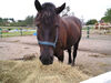 Filename=20070922_004.jpg
Filesize=223KiB
Dimensions=1024x768
Date added=Oct 29, 2008 20070922_004.jpg