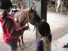 Filename=20070922_006.jpg
Filesize=171KiB
Dimensions=1024x768
Date added=Oct 29, 2008 20070922_006.jpg