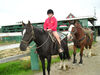 Filename=20070922_012.jpg
Filesize=179KiB
Dimensions=1024x768
Date added=Oct 29, 2008 20070922_012.jpg
