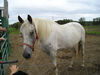 Filename=20070922_017.jpg
Filesize=164KiB
Dimensions=1024x768
Date added=Oct 29, 2008 20070922_017.jpg