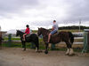 Filename=20070922_018.jpg
Filesize=127KiB
Dimensions=1024x768
Date added=Oct 29, 2008 20070922_018.jpg