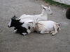 Filename=20070922_020.jpg
Filesize=146KiB
Dimensions=1024x768
Date added=Oct 29, 2008 20070922_020.jpg