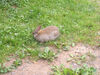 Filename=20070922_028.jpg
Filesize=315KiB
Dimensions=1024x768
Date added=Oct 29, 2008 20070922_028.jpg