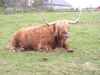 Filename=20070922_029.jpg
Filesize=282KiB
Dimensions=1024x768
Date added=Oct 29, 2008 20070922_029.jpg