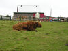 Filename=20070922_030.jpg
Filesize=199KiB
Dimensions=1024x768
Date added=Oct 29, 2008 20070922_030.jpg