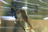 Filename=20071020_008.jpg
Filesize=220KiB
Dimensions=1024x685
Date added=Oct 29, 2008 20071020_008.jpg